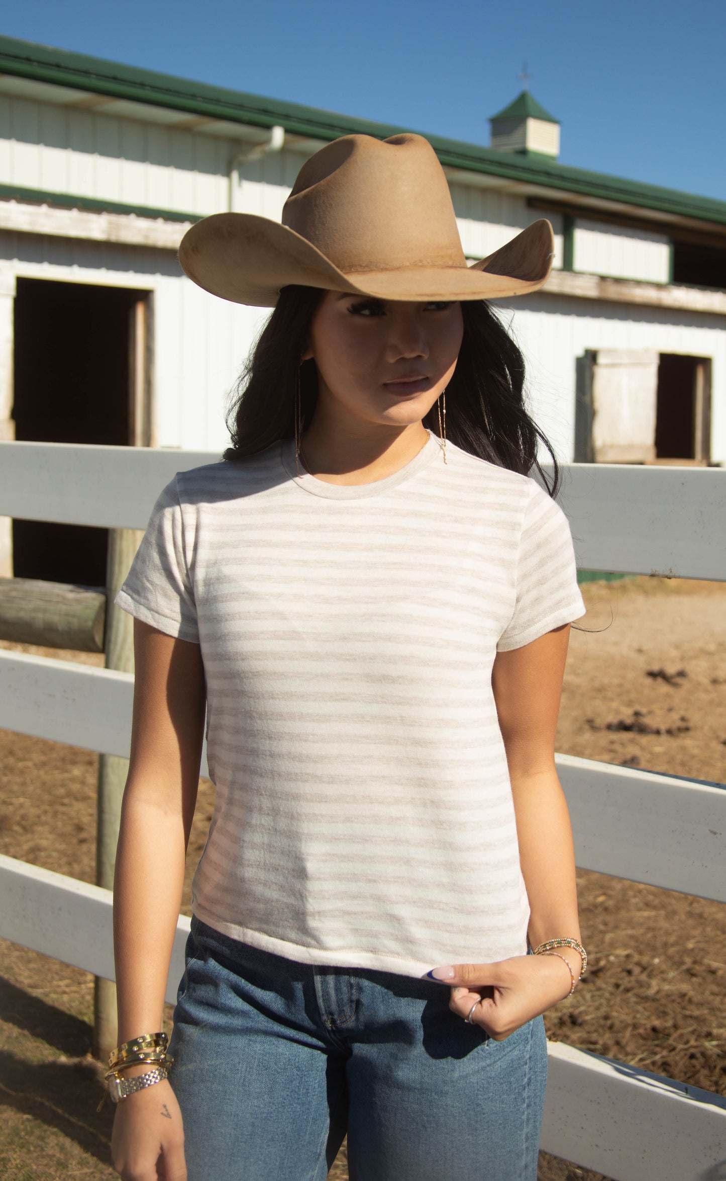 z supply: tourist striped tee - natural
