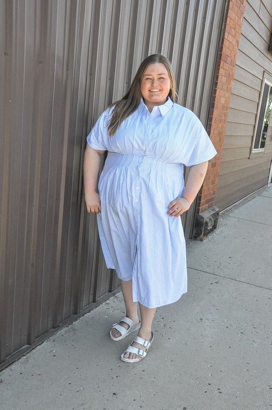 Curvy Button Down Pintucked Waist Dress