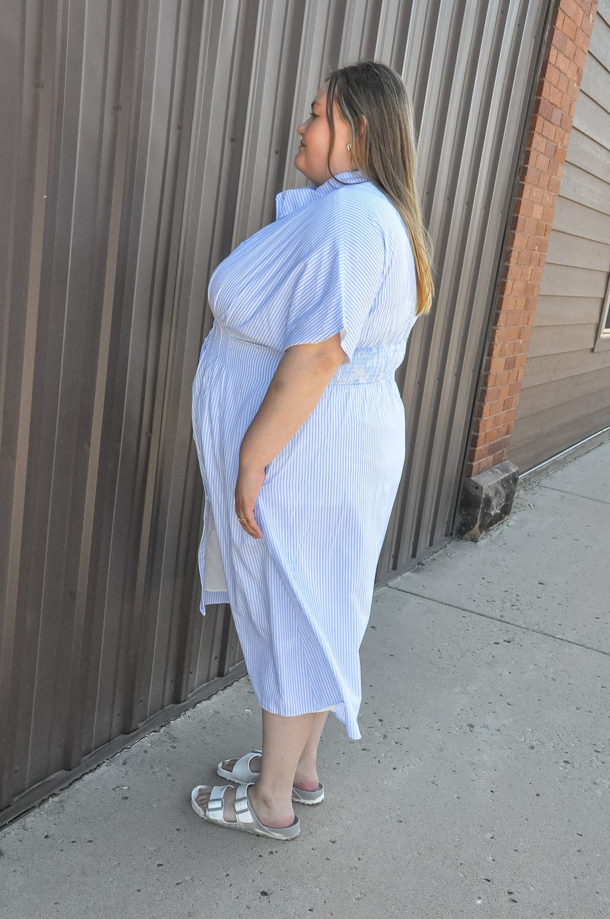 Curvy Button Down Pintucked Waist Dress