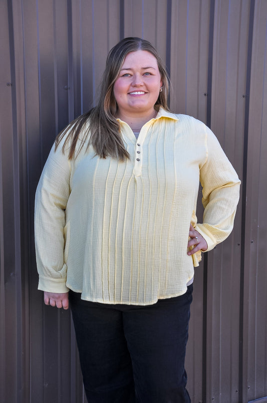 Curvy Pleat Detail Button Down Blouse