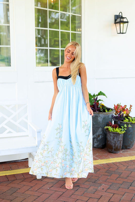 Wren Dress - Blue